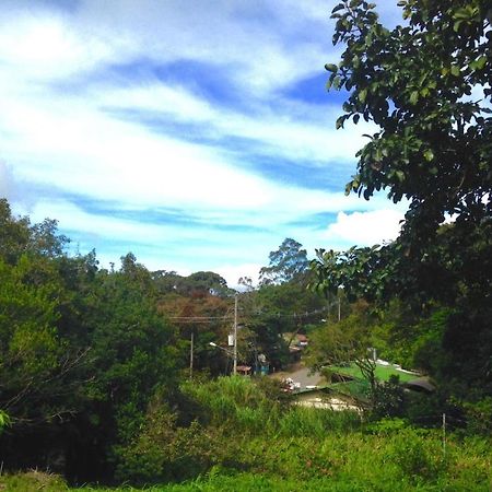 Fig Tree Haven Monteverde Bagian luar foto