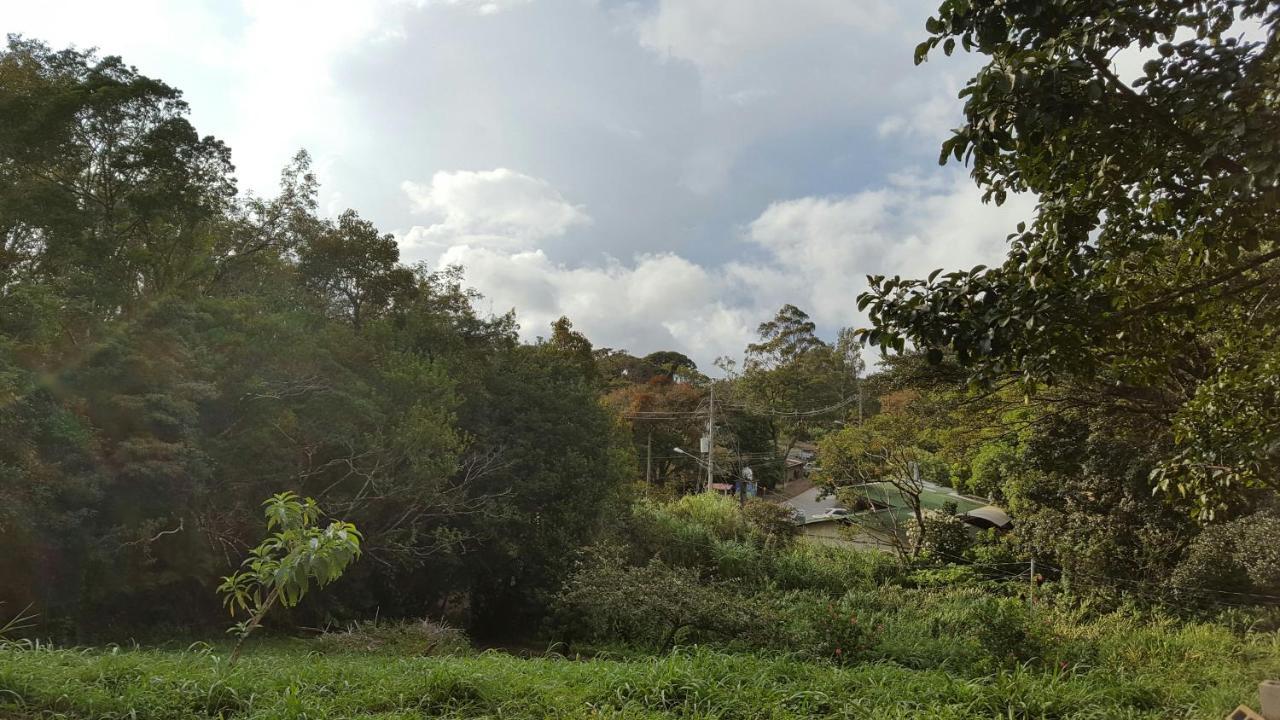 Fig Tree Haven Monteverde Bagian luar foto