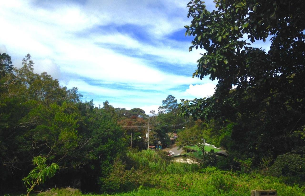 Fig Tree Haven Monteverde Bagian luar foto